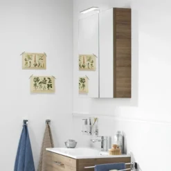 TIGER S-line Spiegelkast 60cm Chalet Eiken -SKIL WINKEL 123 1724